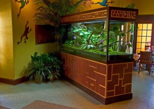 Мини-оранжерея в аквариуме, бутылке
